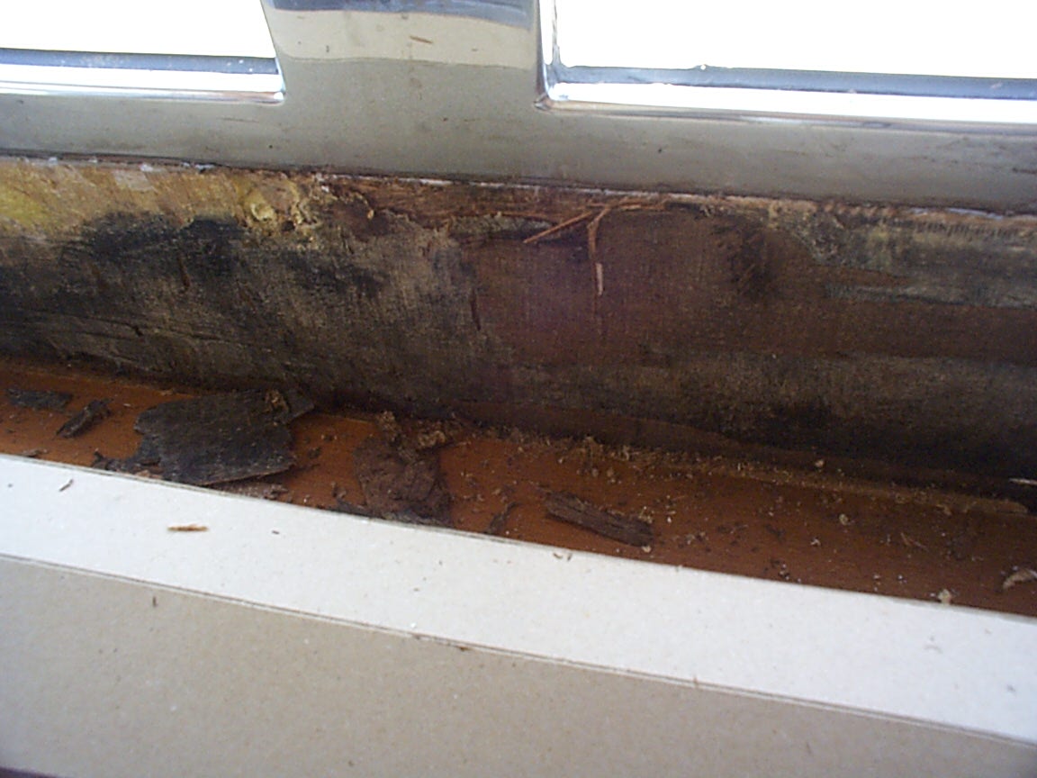 クルーザー浸水による壁面のカビ・腐食 1