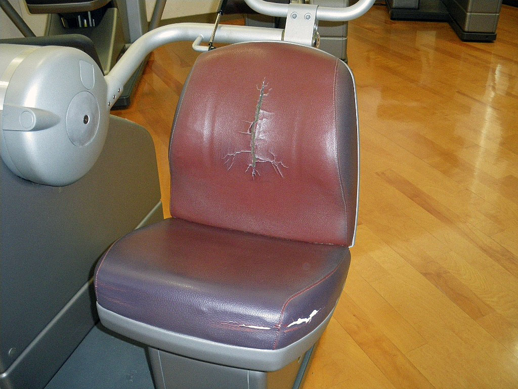 激しい摩擦で張地が破れてしまったジム機具（タイプB）